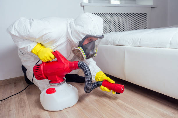 Best Residential Pest Control  in Lemon Hill, CA